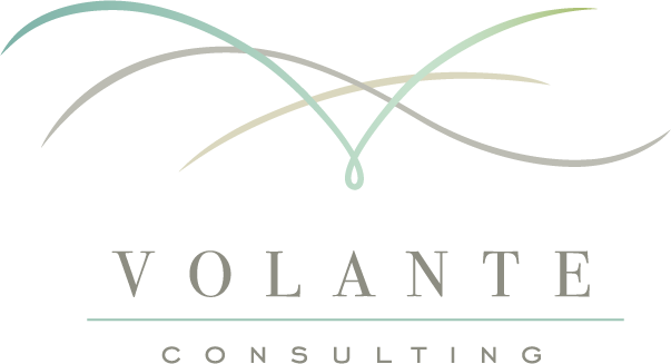 Volante Consulting